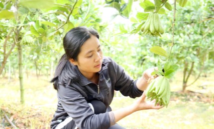 Nông dân Vĩnh Phúc - nhiều cách làm giàu