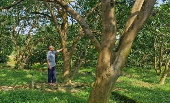 Chuyển đổi số góp phần xây dựng nông thôn mới